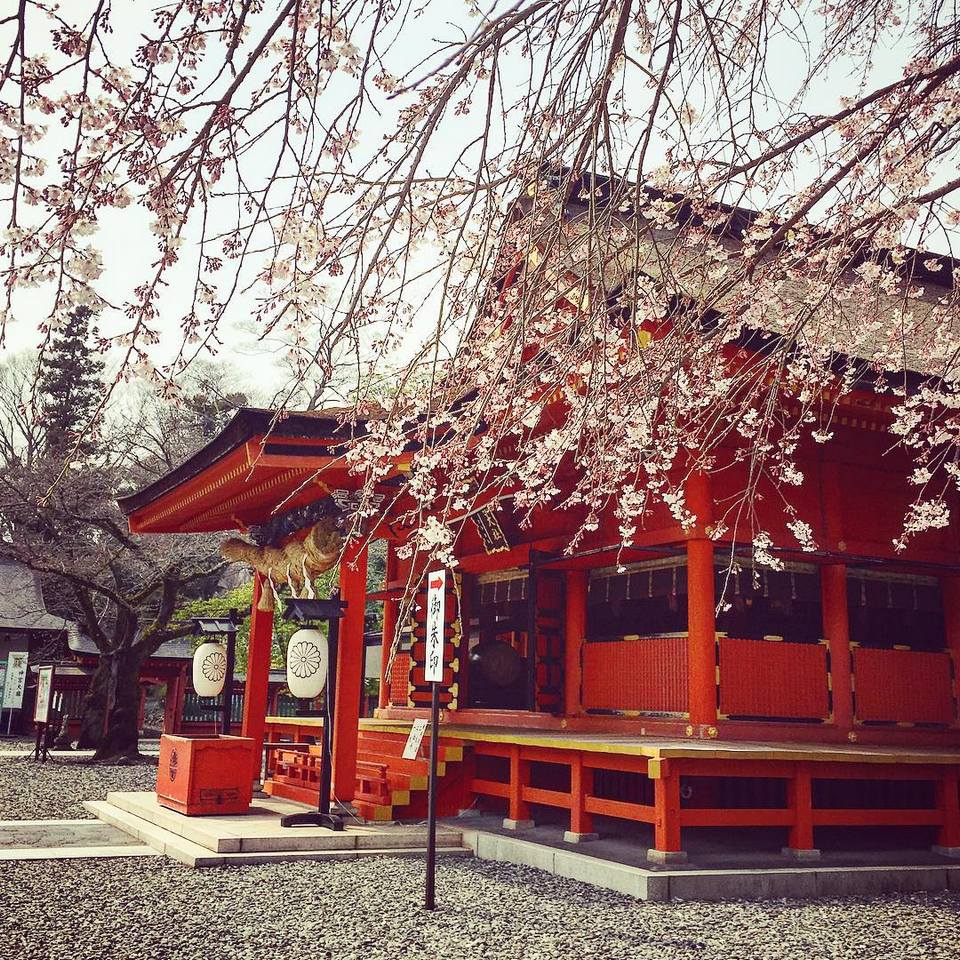 Fujisan Hongū Sengen Taisha Shrine-fuji-japan6