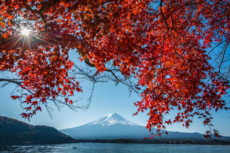 Kawaguchi lake-fuji-japan10