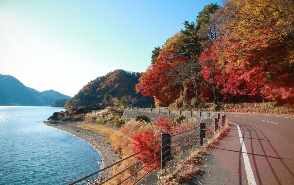Kawaguchi lake-fuji-japan11