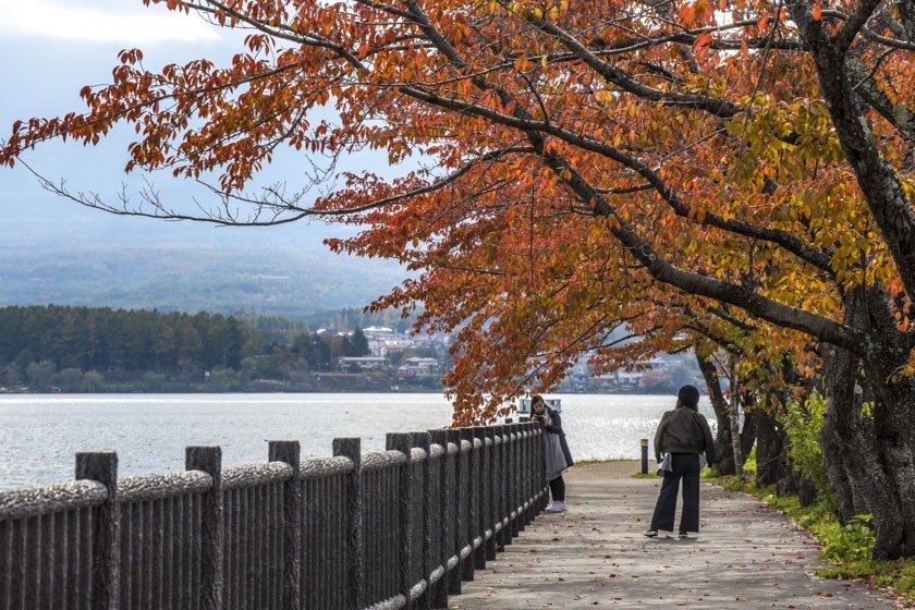 Kawaguchi lake-fuji-japan13