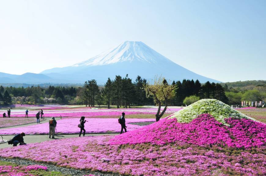 Kawaguchi lake-fuji-japan15