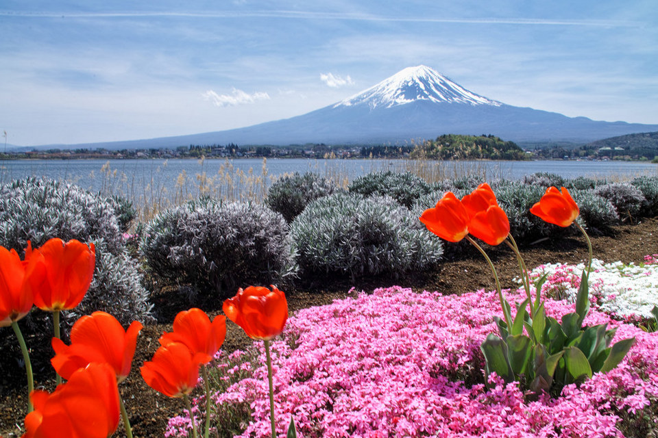 Kawaguchi lake-fuji-japan7