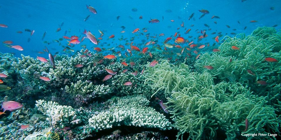Sipadan Island 4
