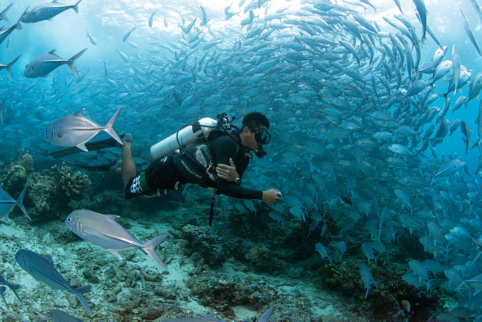 Sipadan Island