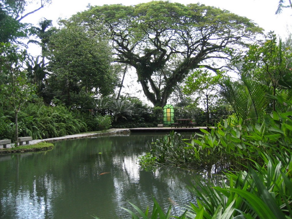 Botanical garden, spice garden of Penang