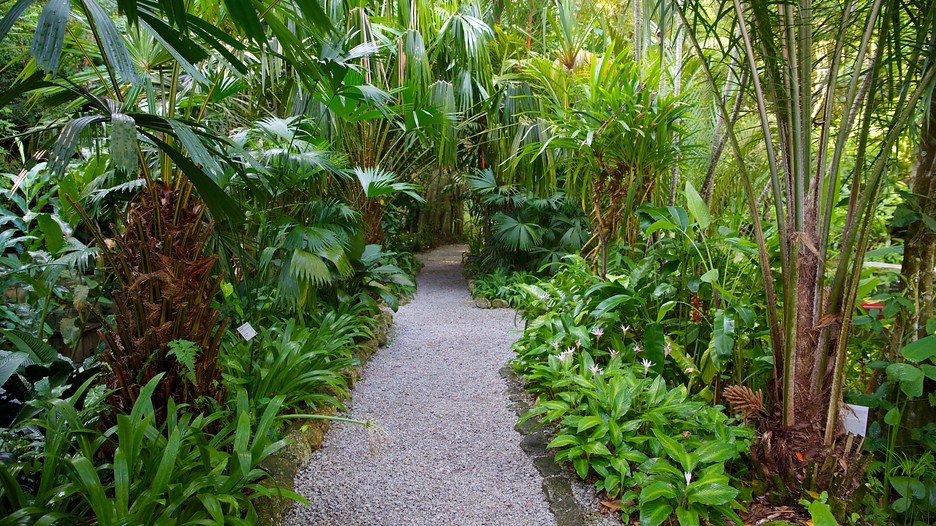 Botanical garden, spice garden of Penang