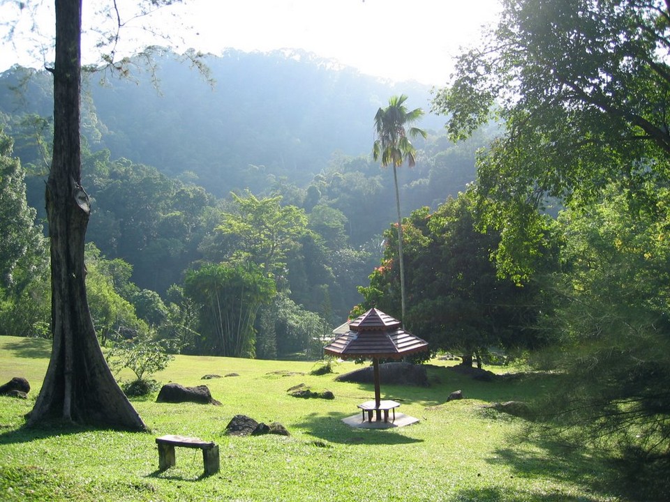 Botanical garden, spice garden of Penang