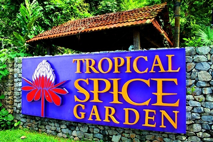 Botanical garden, spice garden of Penang