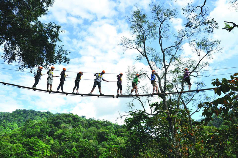 Flight of the Gibbon -chiang mai-thailand