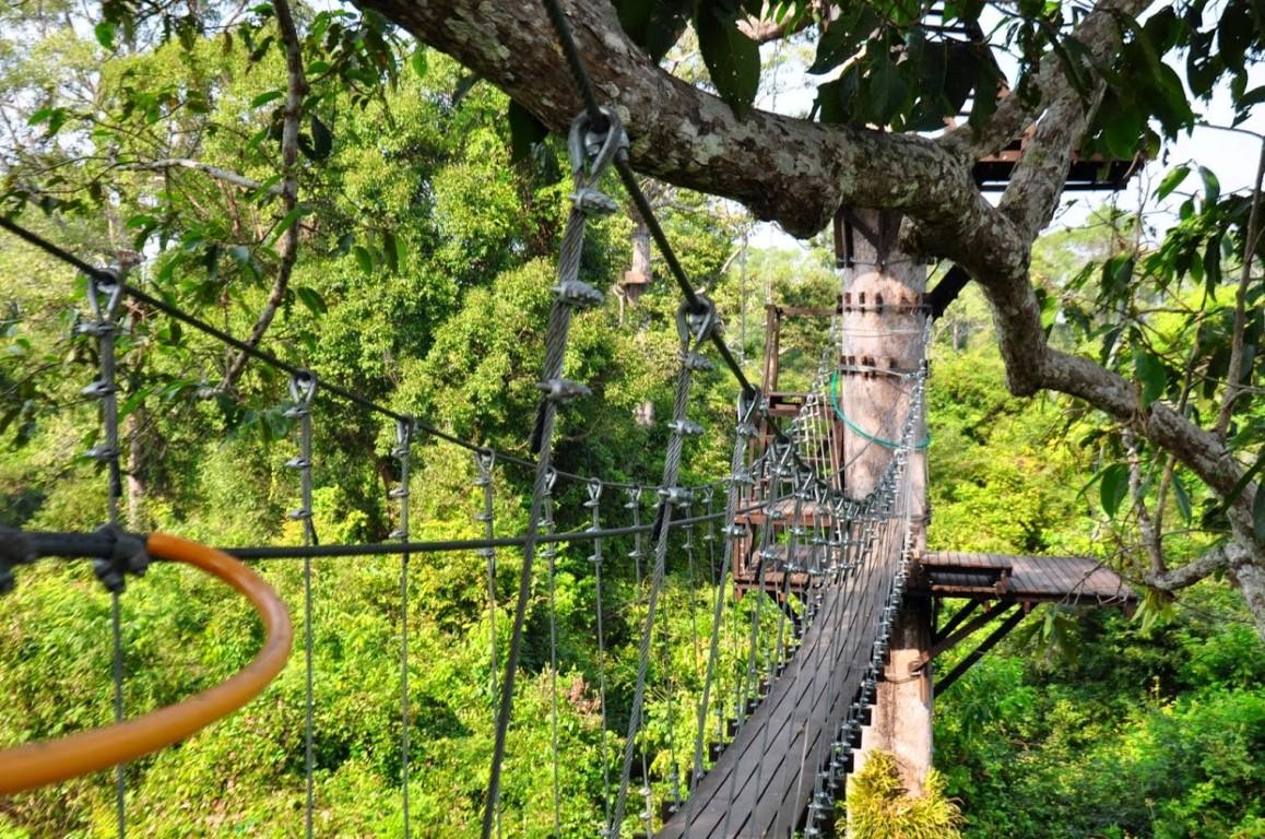 Flight of the Gibbon -chiang mai-thailand1