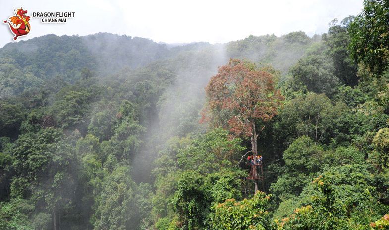 best zipline chiang mai dragon flight zipline chiang mai (1)