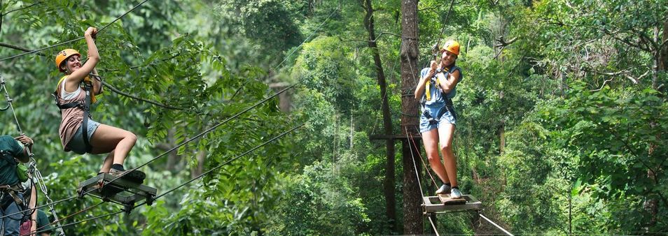 best zipline chiang mai dragon flight zipline chiang mai