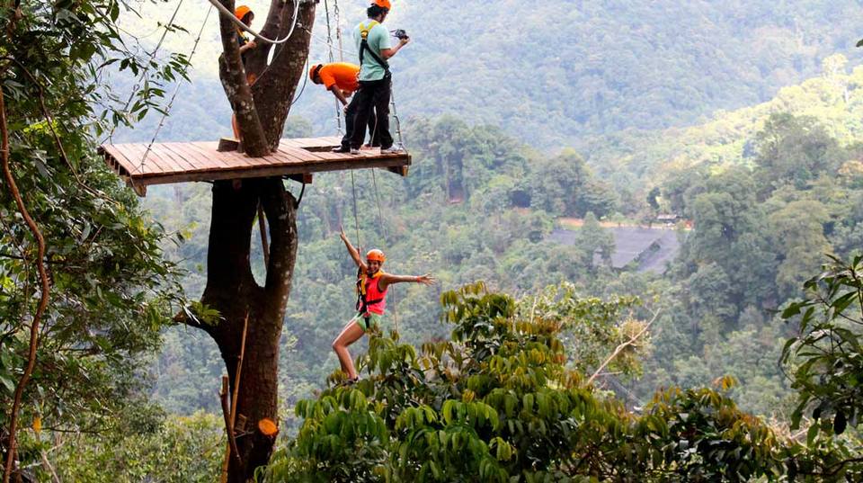 Chiang Mai canopy treetop Thailand canopy zip line ...