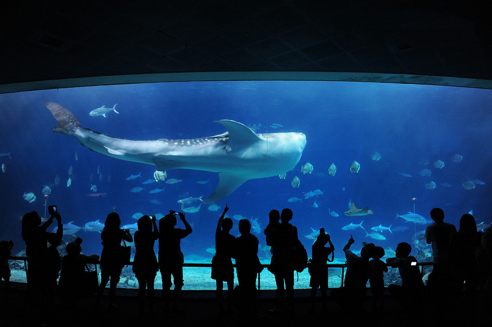 Kenting-taiwan-best things to do in kengting25 Picture: kenting travel guide blog.