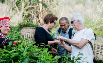 Explore Araksa Tea Garden — One of the best tourist attractions in Chiang Mai, Thailand Araksa Tea Garden Tour and Tasting