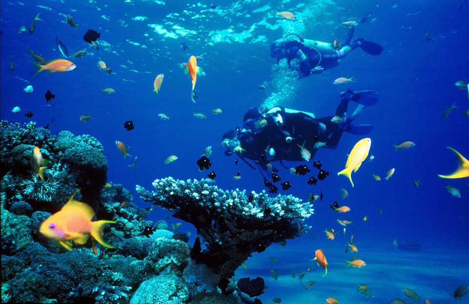 palawan-most beautiful islands in Southeast Asia7