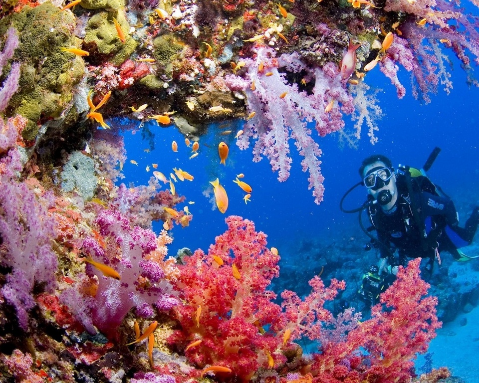 palawan-most beautiful islands in Southeast Asia9