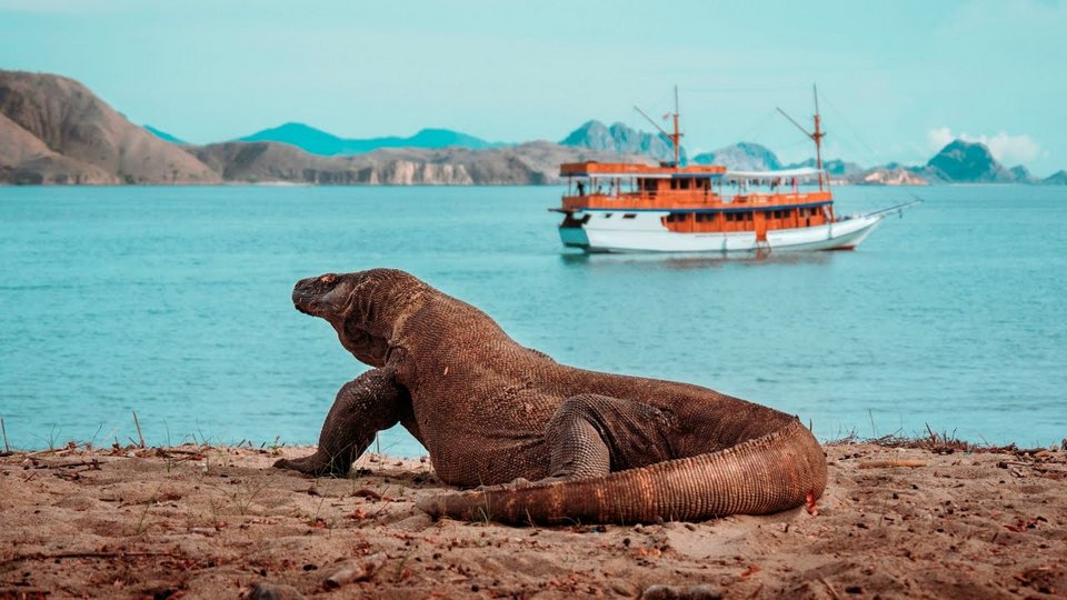 Komodo-most beautiful islands in Southeast Asia2