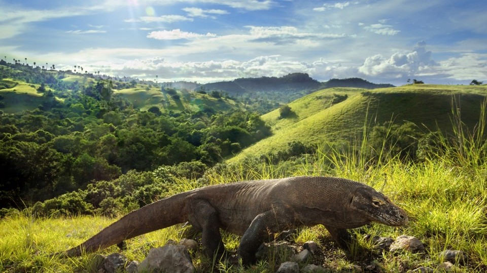 Komodo-most beautiful islands in Southeast Asia7 Photo: best islands in se asia blog.