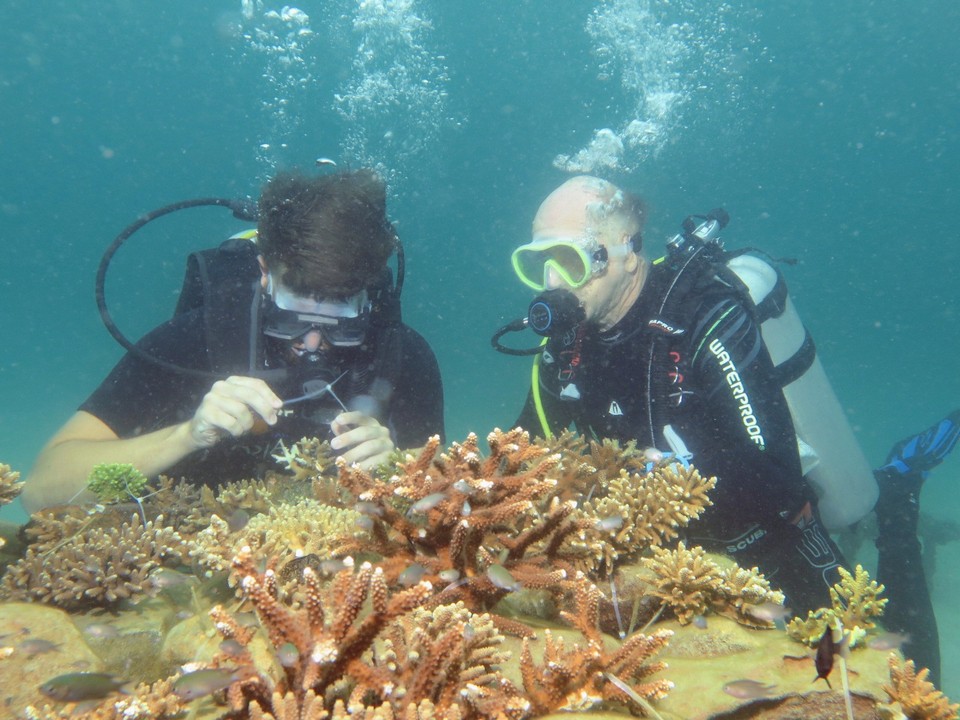 M’Pai Bay-Koh Rong Samloem13
