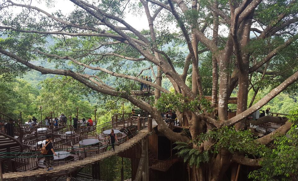 best coffee in chiang mai best cafes in chiang mai best coffee shops in chiang mai