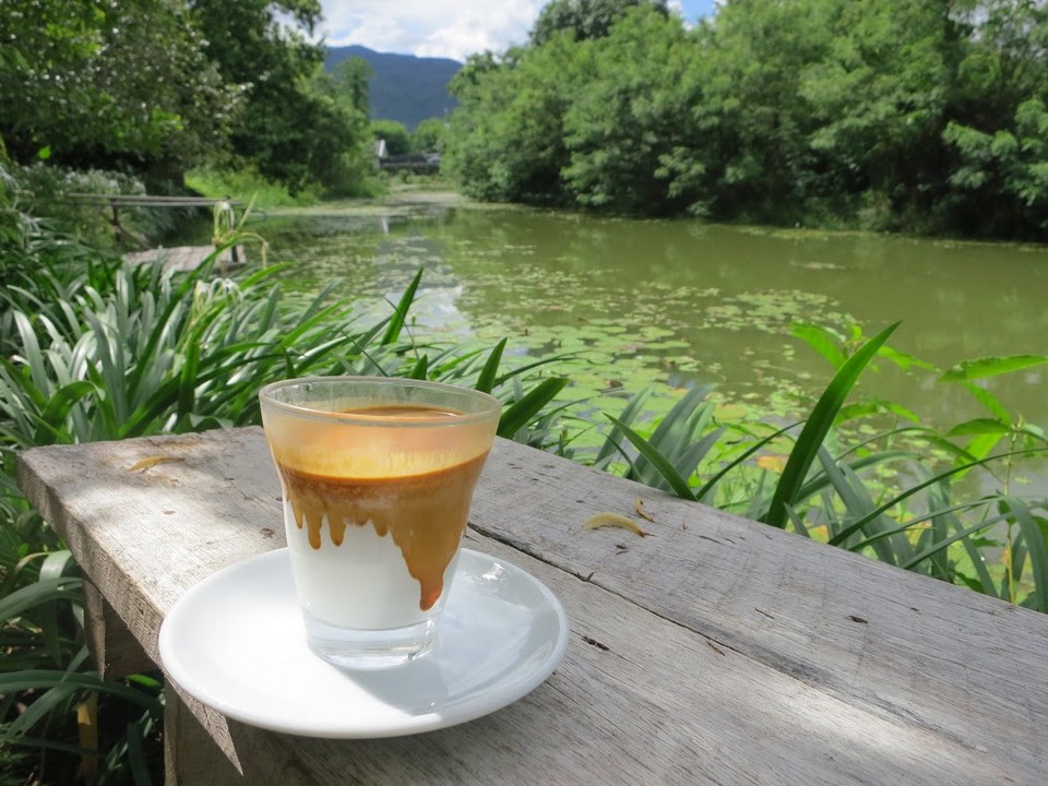 best coffee in chiang mai best cafes in chiang mai best coffee shops in chiang mai