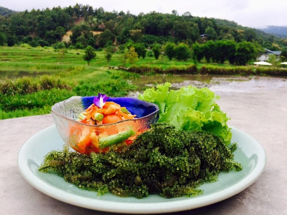 Anna Farm & Eatery chiangmai (1)