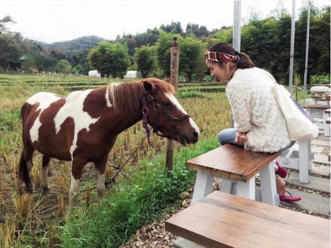 Anna Farm & Eatery chiangmai (1)