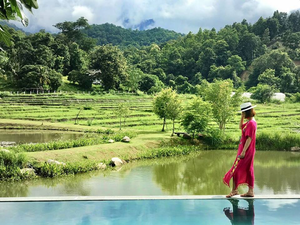 Anna Farm & Eatery chiangmai (1)