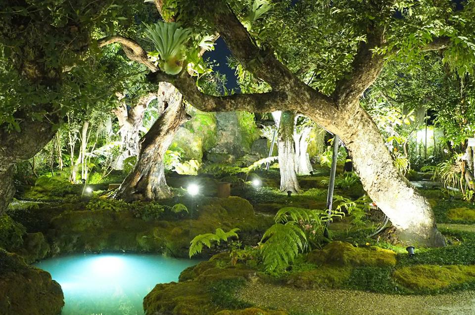 Chom Cafe & Restaurant chiangmai (1)