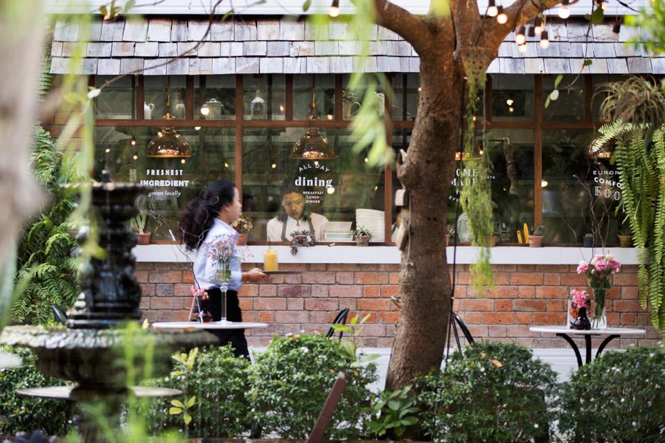 Daddy's Antique Cafe and Restaurant chiangmai (1)