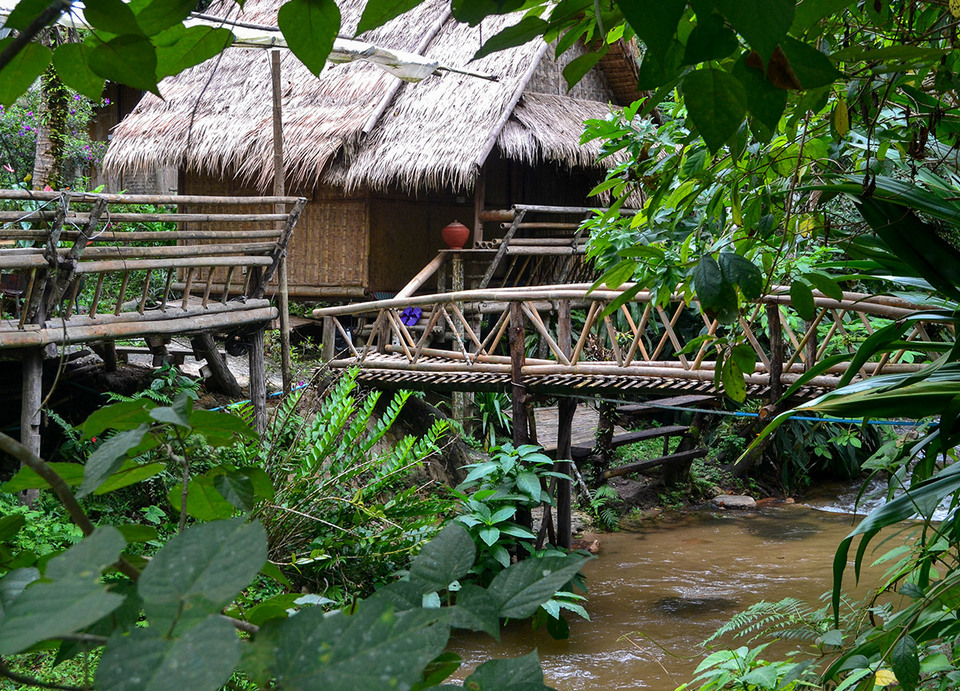Giant-Tree-House-Coffee-Shop-in-Chiang-Mai-Homestay-2