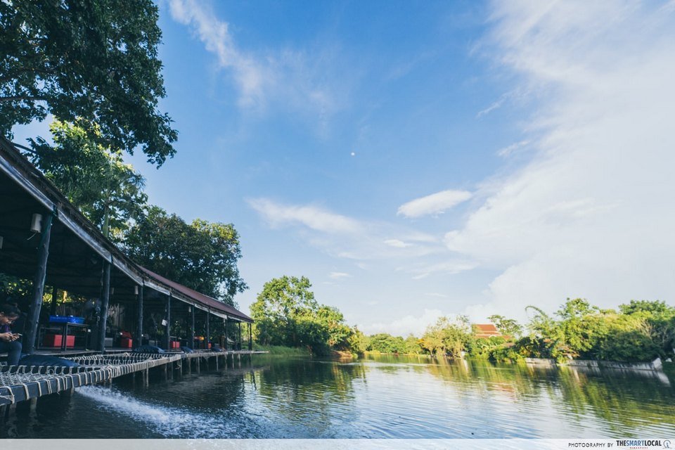 Phuffin In The Lake chiangmai (1)