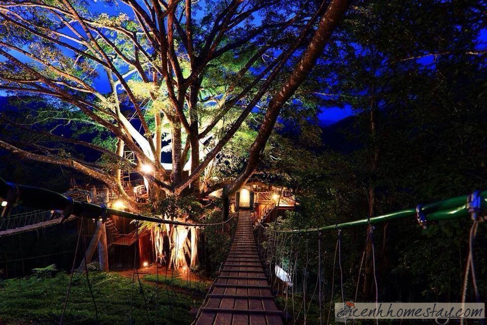 The Giant Chiangmai thailand (1)