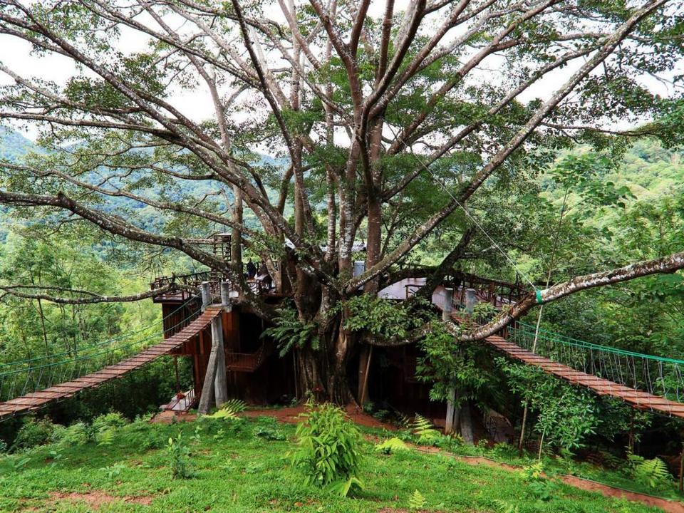 The Giant Chiangmai thailand (1)