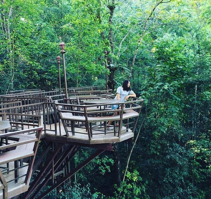 The Giant Chiangmai thailand (1)