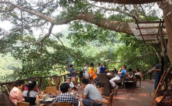 Best cafes in Chiang Mai — Top 9 unique & best coffee shops in Chiang Mai, Thailand The Giant Chiangmai thailand (1)