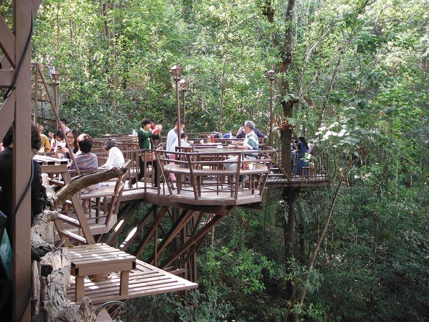 giant treehouse chiang mai (8)