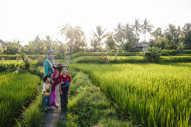 ubud rice fields