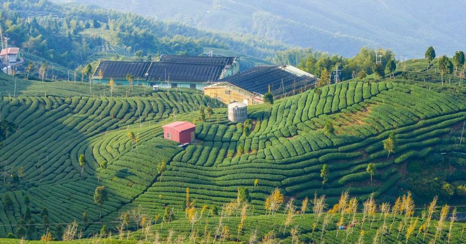 Ba Gua Tea Garden-Shiding Thousand Island Lake-Taipei City2