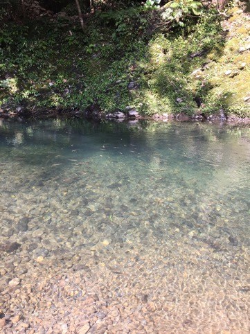 Jungualiao river