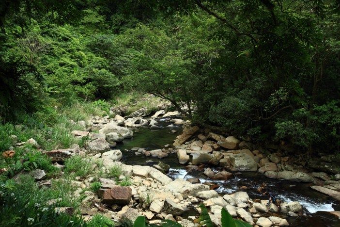 Jungualiao – Jingualiao Fish & Fern thousand island lake thousand island lake taiwan shiding thousand island lake