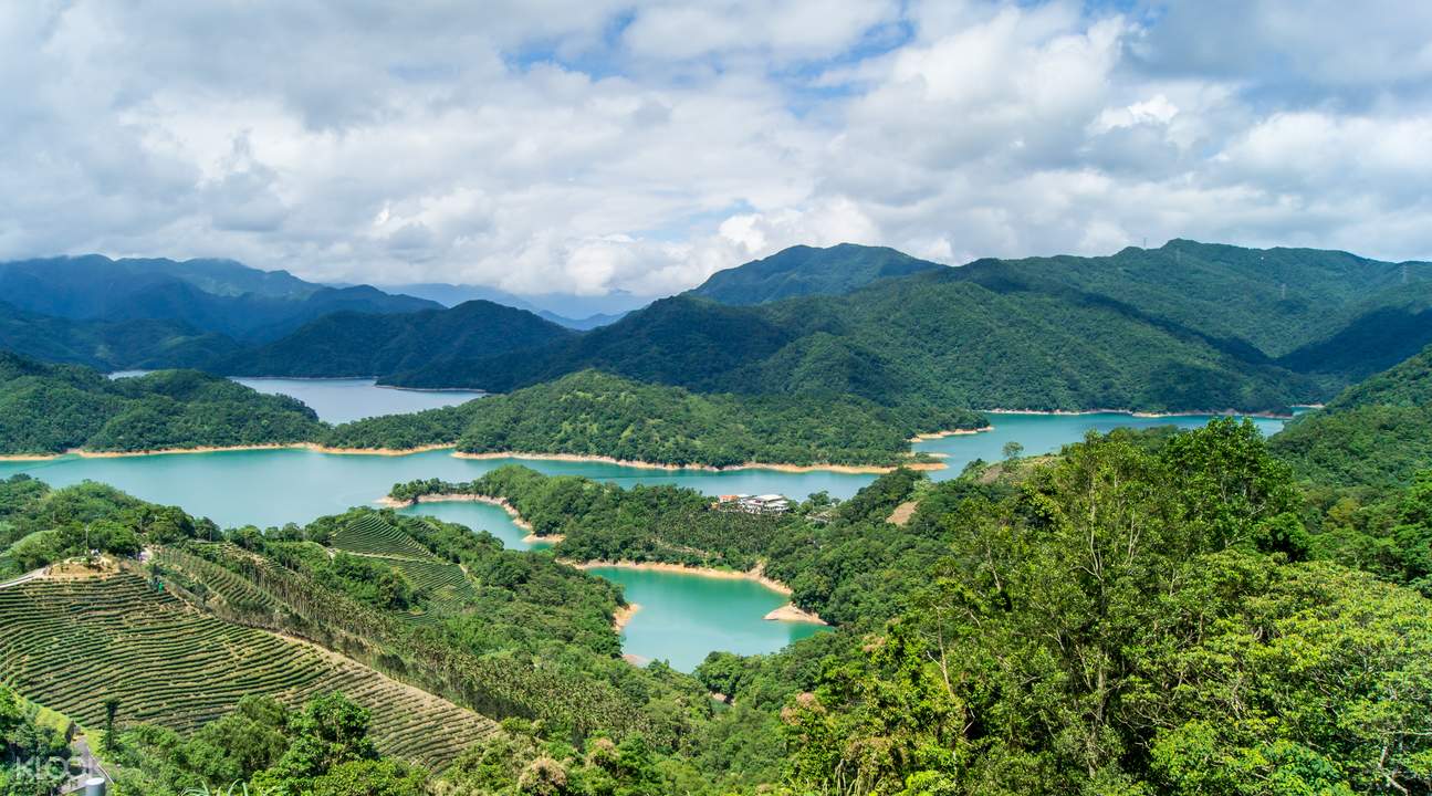 ThousandIslandLakePinglinTeaPlantation (1)
