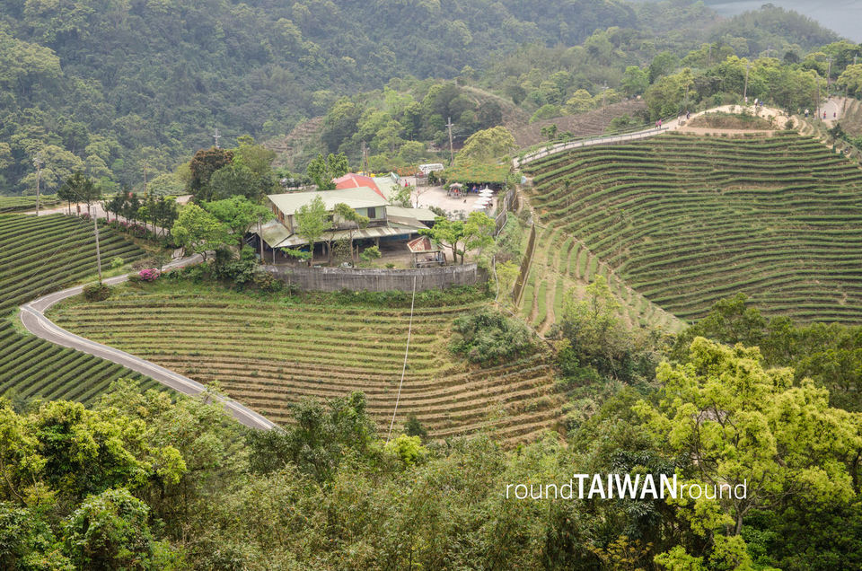 Thousand Island Lake & Pinglin Tea Plantation