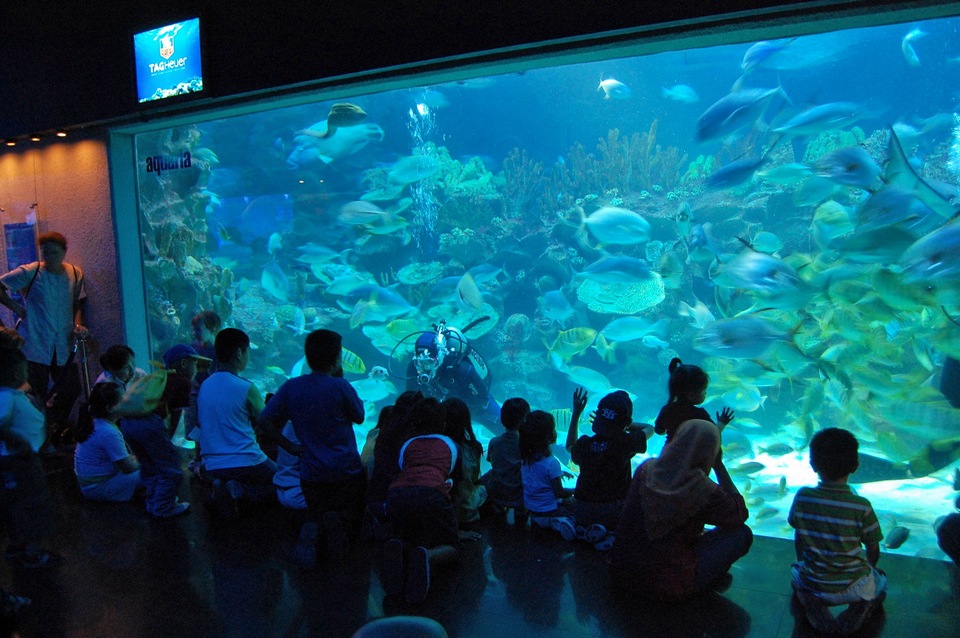 Aquaria Aquarium KLCC