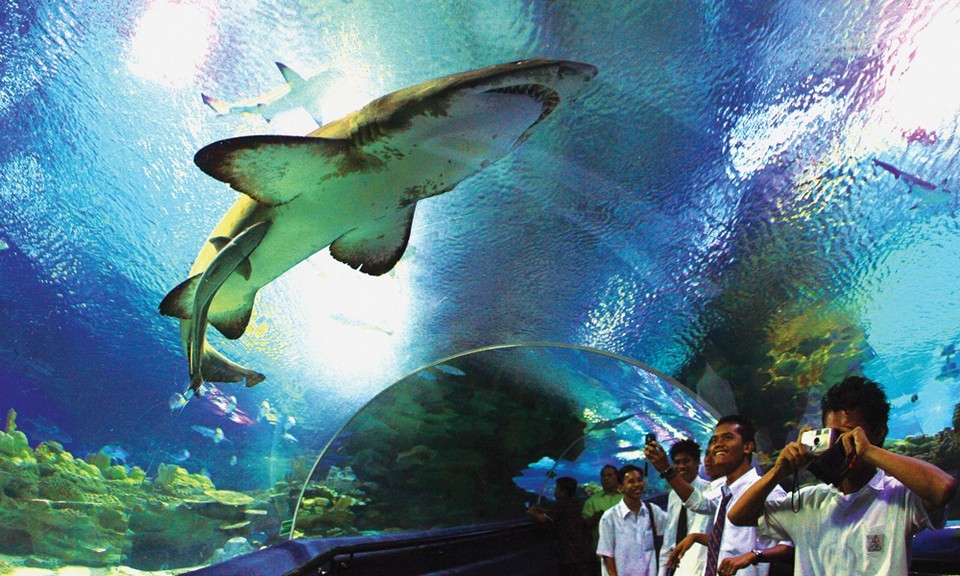 Aquaria Aquarium KLCC2
