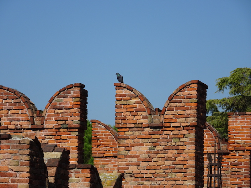 37-castelvecchio-bridge-verona