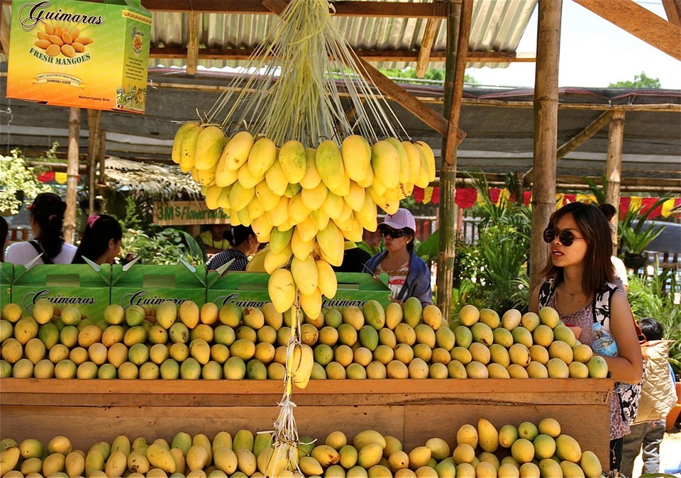 Mango and products of mango-iloili-philipine5