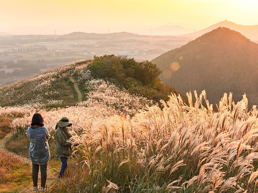 Warm autumn light ensconces Saebyeol Oreum, an ancient volcanic cone in southwestern Jeju Island,