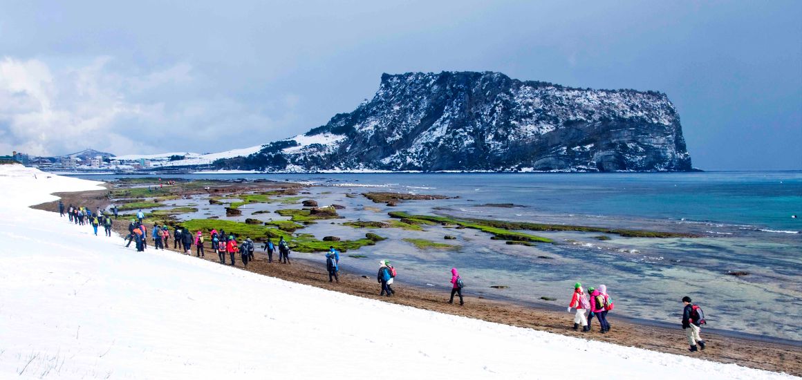 jeju in winter